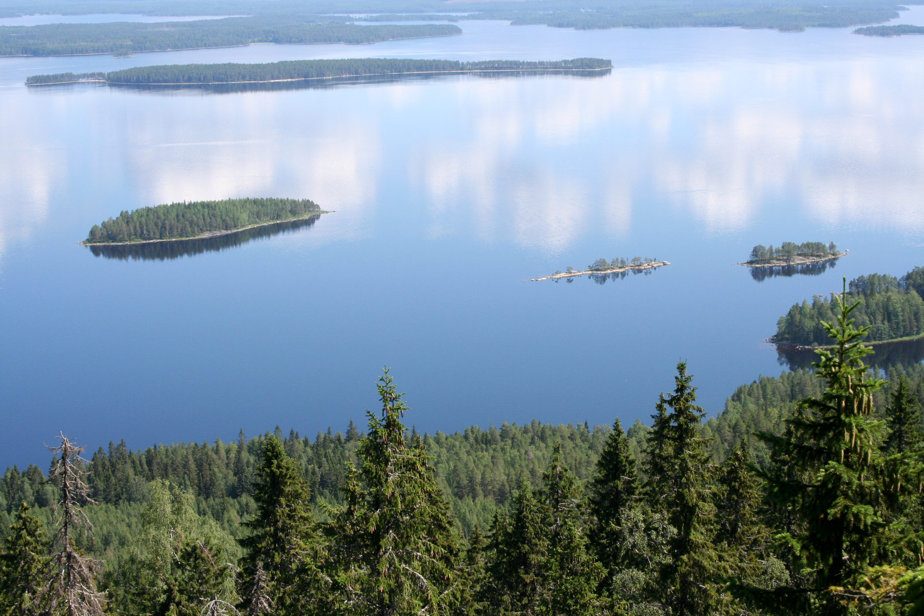 Koli National Park